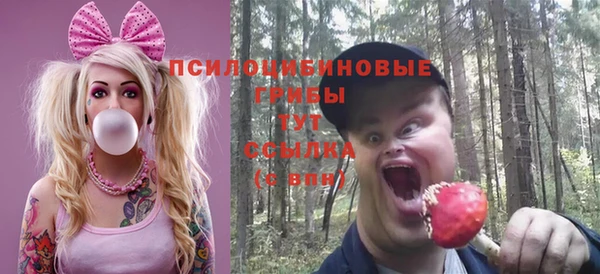 скорость Бородино