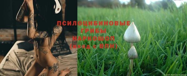 бутират Богданович