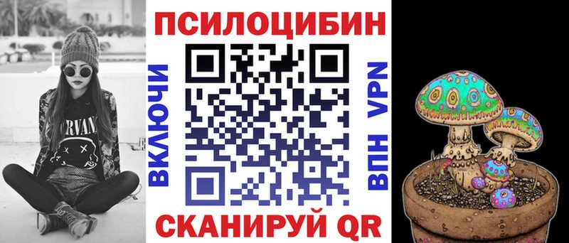 Псилоцибиновые грибы мухоморы  наркота  mega ссылки  Тогучин 